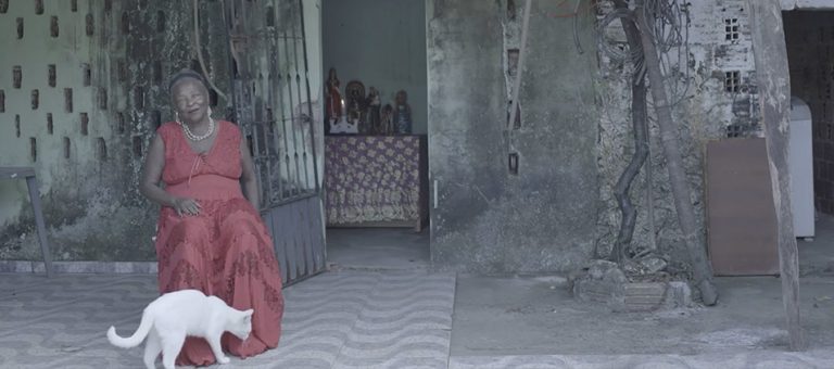 https://vimeo.com/908715248?share=copy